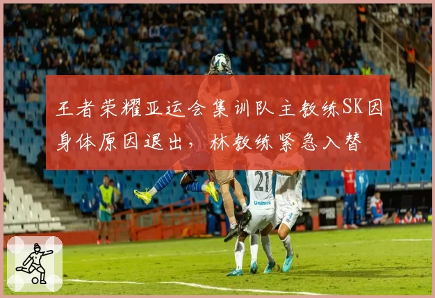 王者荣耀亚运会集训队主教练SK因身体原因退出,林教练紧急入替
