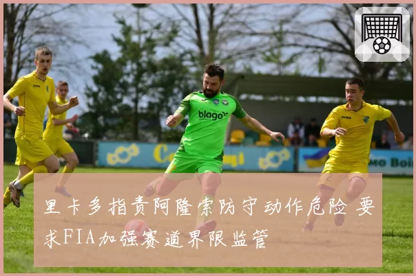 里卡多指责阿隆索防守动作危险 要求FIA加强赛道界限监管