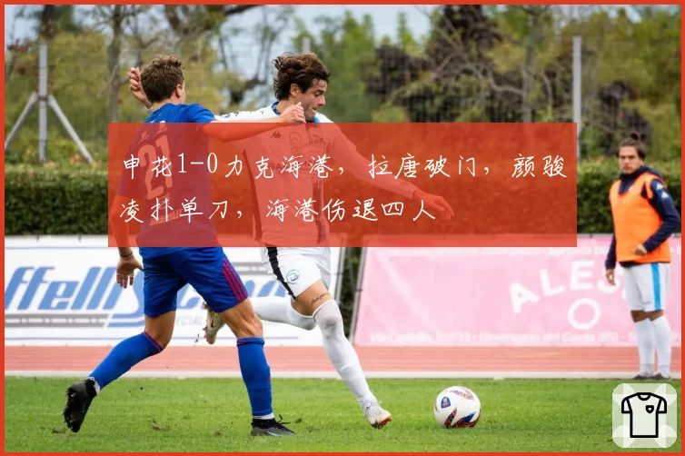 申花1-0力克海港，拉唐破门，颜骏凌扑单刀，海港伤退四人