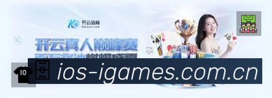 安全使用与支持流程